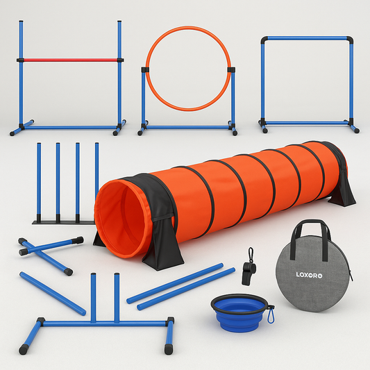 Loxoro™ 5-Piece Dog Agility Training Set – Boost Your Dog’s Health & Happiness